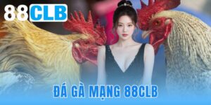 Đá Gà Mạng 88CLB