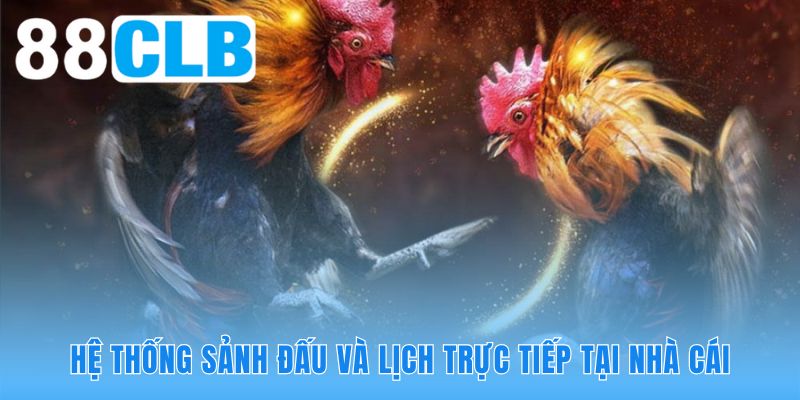 Hệ thống sảnh đấu giải đáp thắc mắc xem đá gà trực tuyến ở đâu