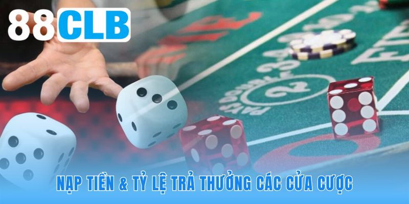 Giao dịch QR Code tốc độ cao giúp bạn nắm bắt kịp thời các dây cầu đẹp