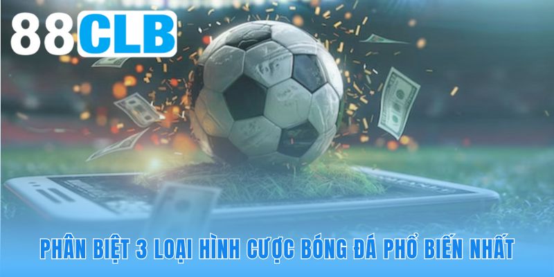 Ba hình thức cược phổ biến giúp tân thủ tự tin làm chủ mọi ván đấu