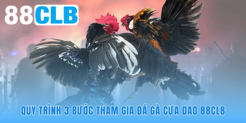 Quy trình tham gia đá gà cựa dao 88CLB thiết kế đơn giản và tiện lợi